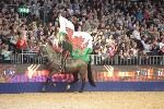 Cavalry - 00329
